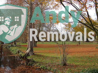 Andy Removal Park Royal (NW10)